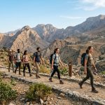 5 Eco-Friendly Hiking Trails in the UAE That Support Local Conservation