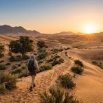Discover Eco-Friendly Desert Trails Near Abu Dhabi for 2026 Adventures