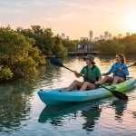 Why Mangrove National Park is Abu Dhabi's Premier Eco-Tourism Destination in 2026