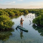 How to Experience Sustainable Paddleboarding in Abu Dhabi’s Mangroves Without Harming Wildlife