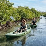 How to Kayak Responsibly in Abu Dhabi’s Protected Mangrove Forests