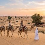 Why You Should Swap Your Desert Safari for a Camel Trek in Al Marmoom Reserve